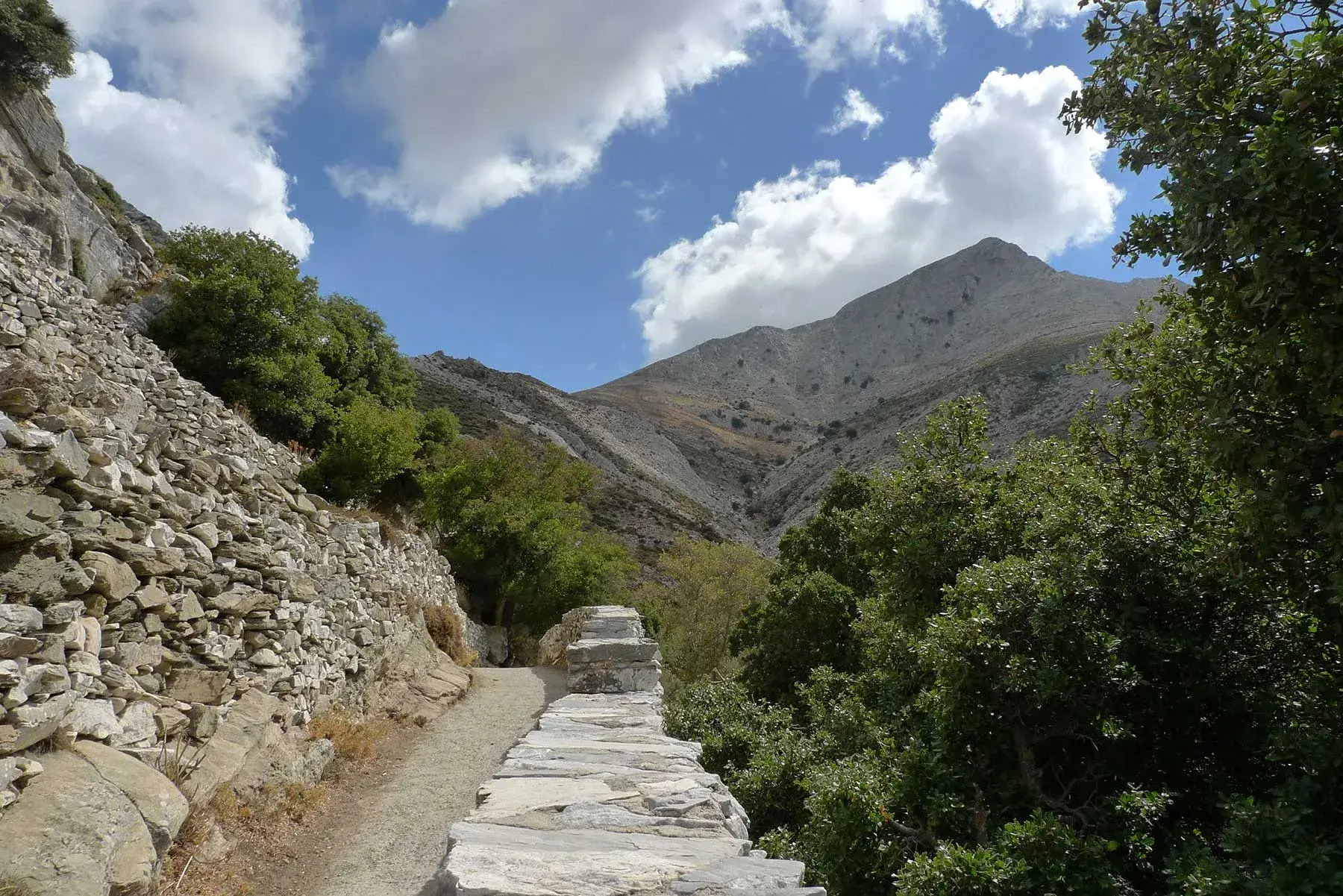 Hike Mount Zas