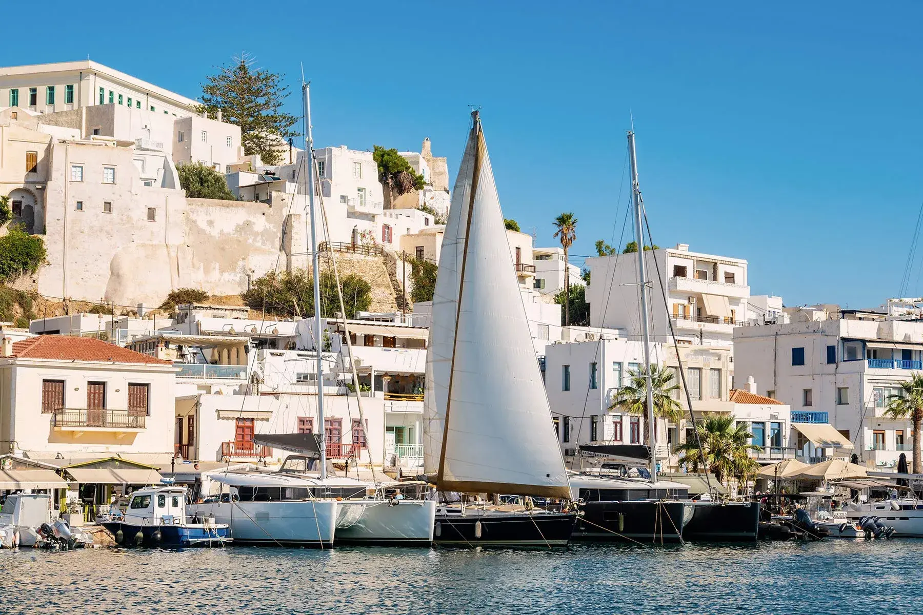 Sailing Cruises