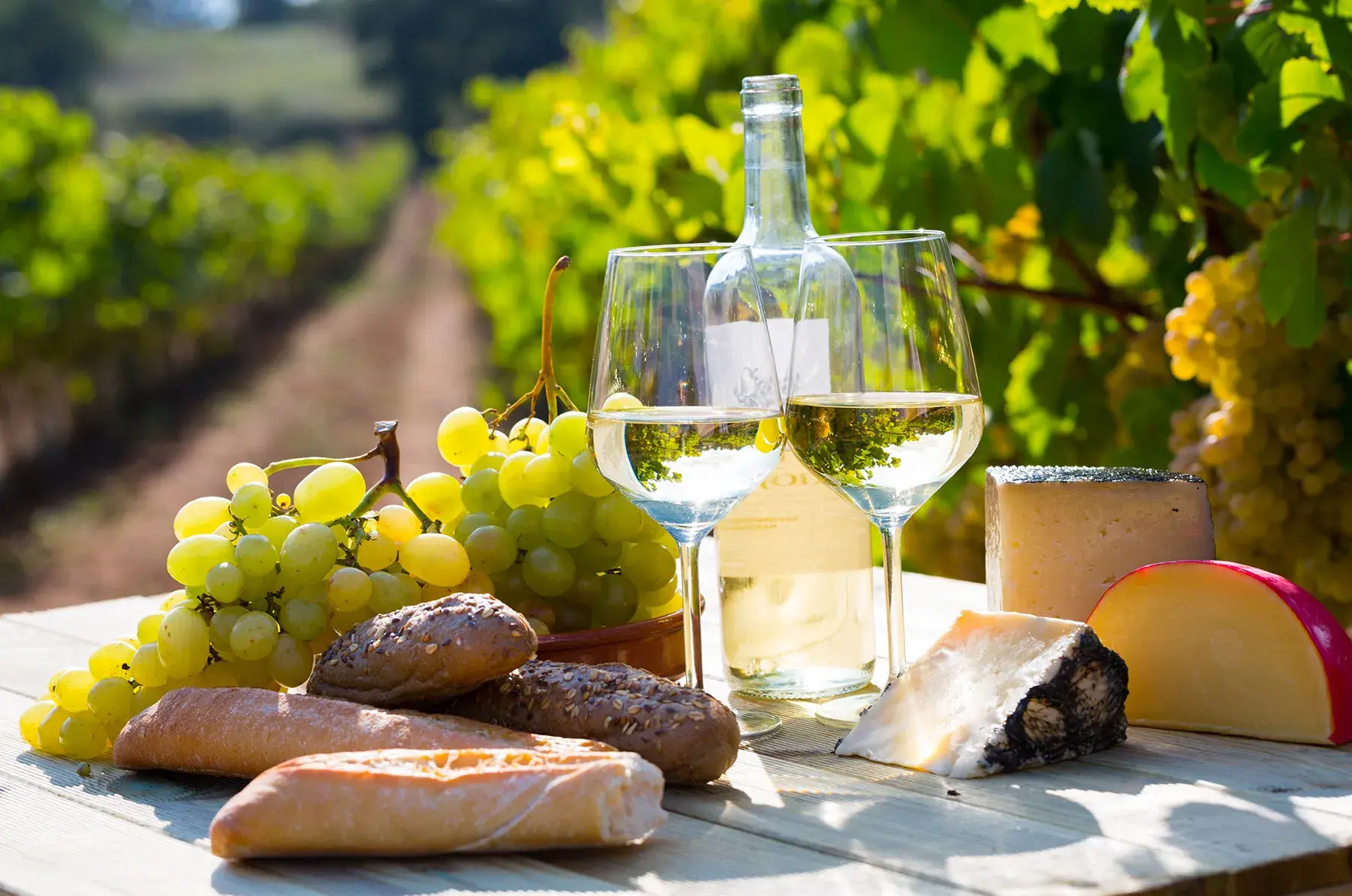 Cycladic Wine Tastings