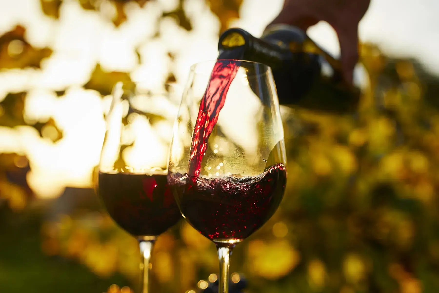 Cycladic Wine Tastings